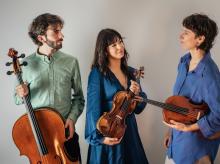 Ensemble Satellite Ensemble Satellite